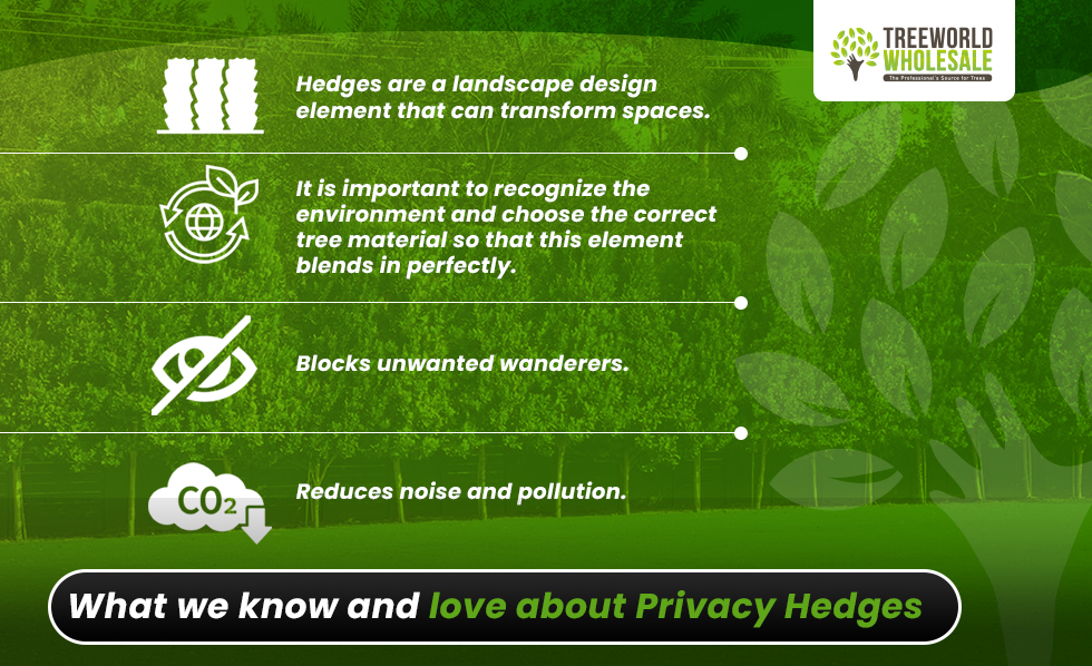 Privacy Heges all you need to know