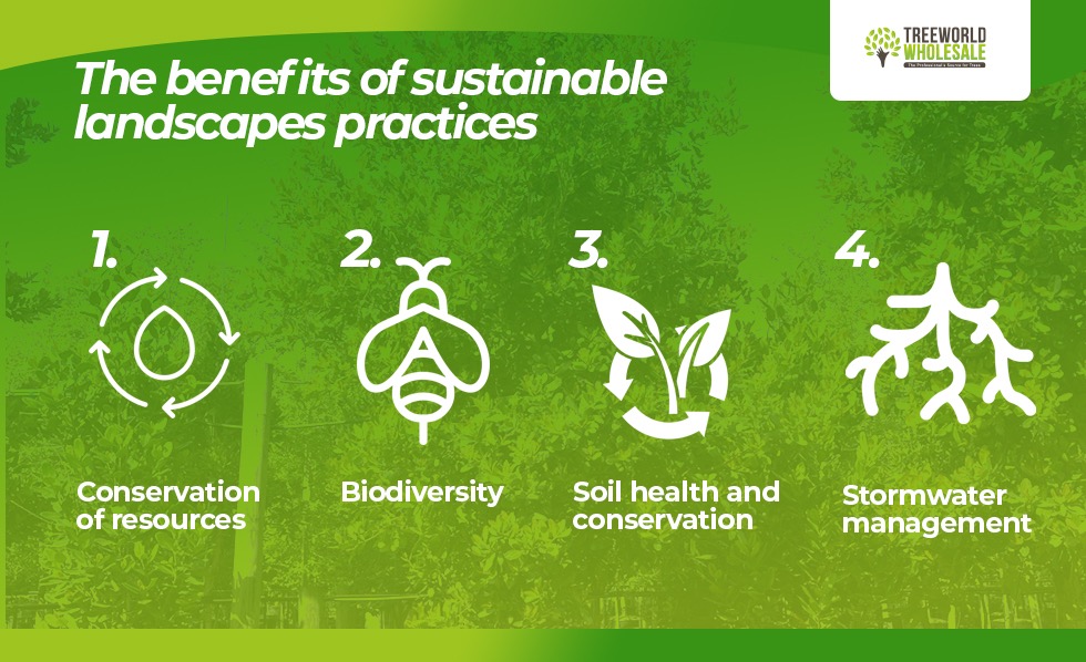 sustainable landscape design - best practices