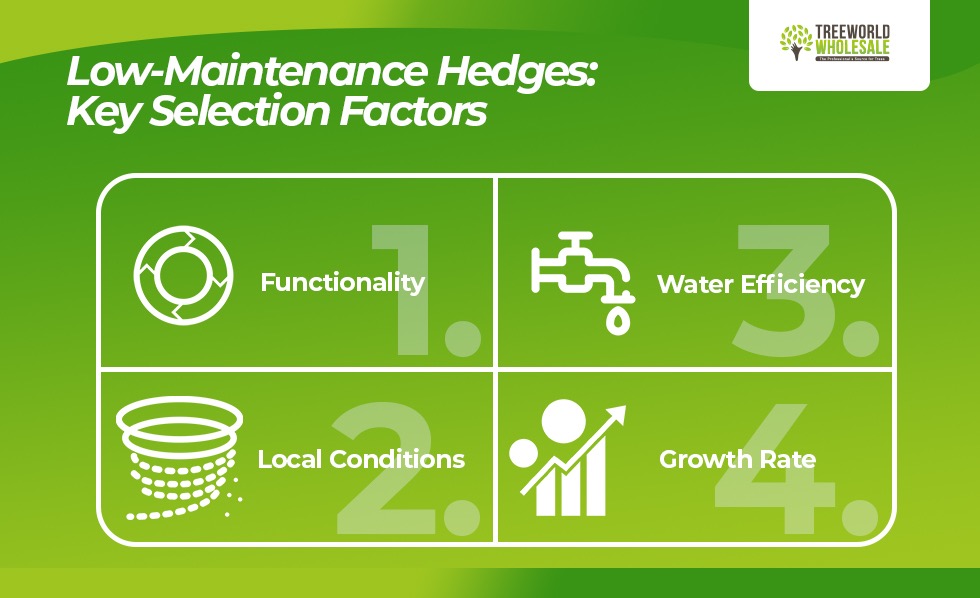 choosing the best low maintenance hedges